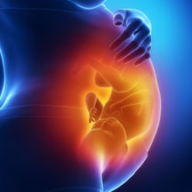 Pregnancy Sonic | Hear Fetal Baby Heart Beat