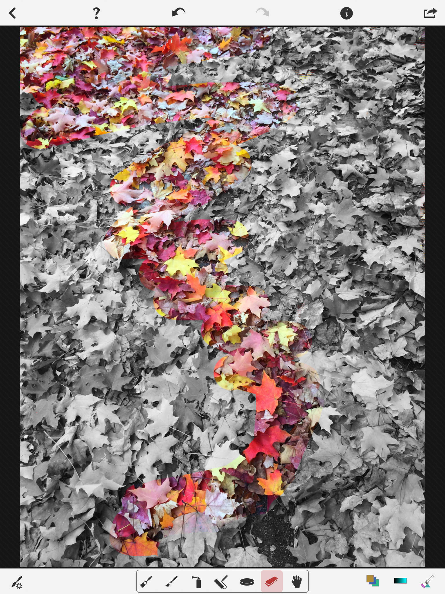 Color Blast! HD - Photo Splash and Color Editing Effects screenshot-3