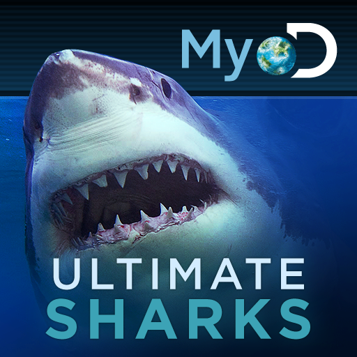 Ultimate Sharks