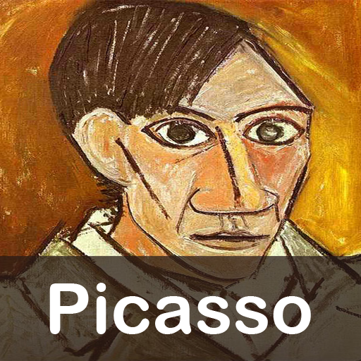 Picasso Application