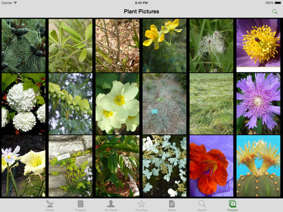 Landscaper's Companion for iPad Screenshots