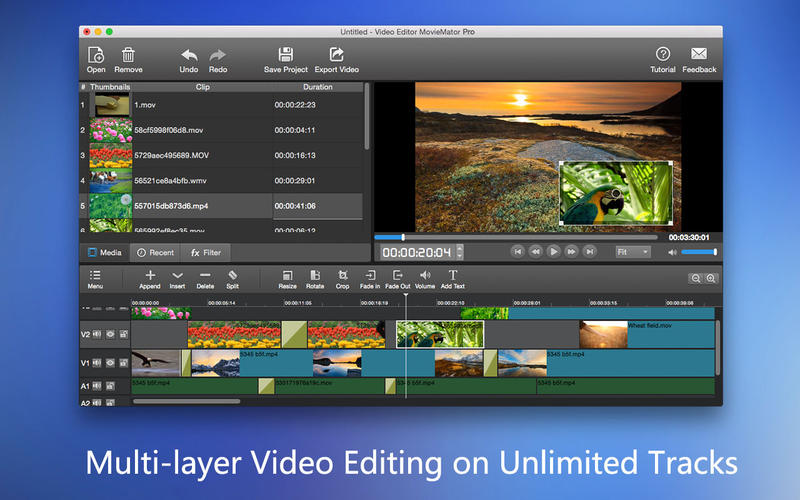 video editor moviemator transition effect