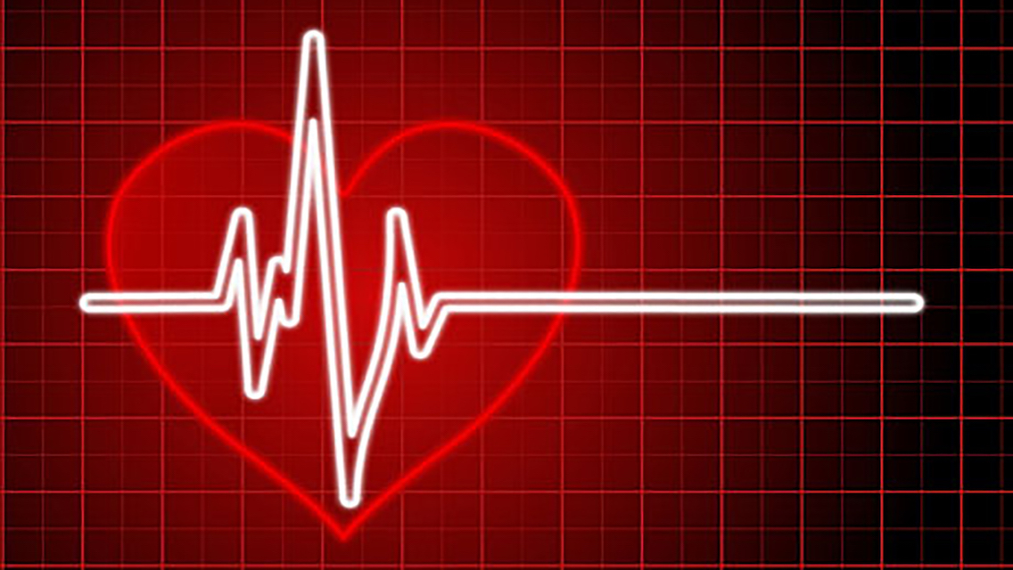 App Shopper Simple Heart Rate Monitor Heartbeat Detector with Finger