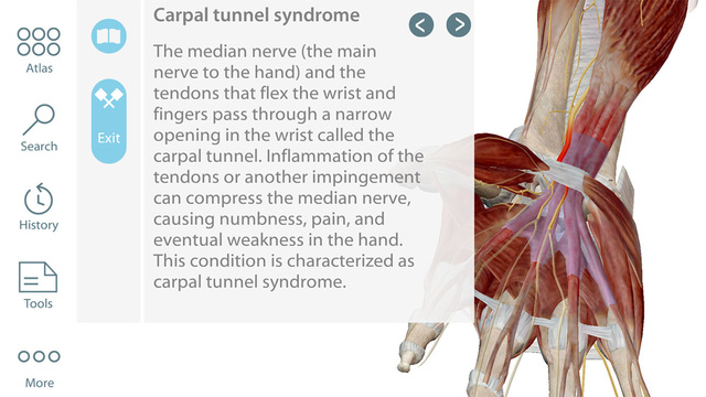3d Muscle Premium 2 Ipa Download
