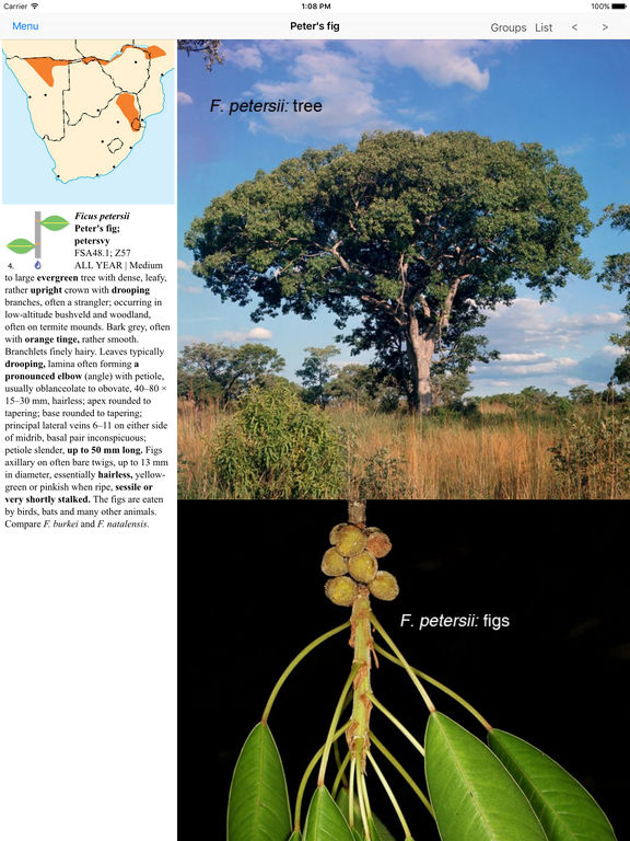 Sasol Birds of Southern Africa | Mobile applications sasol ebirds of southern africa ipad